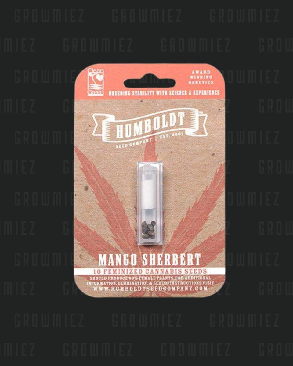 Mango Sherbet von Humboldt Seed Company