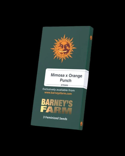Mimosa x Orange Punch Samenverpackung