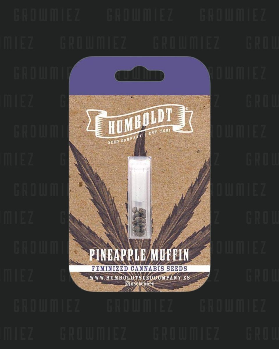 Humboldt Seed Company Pineapple Muffin