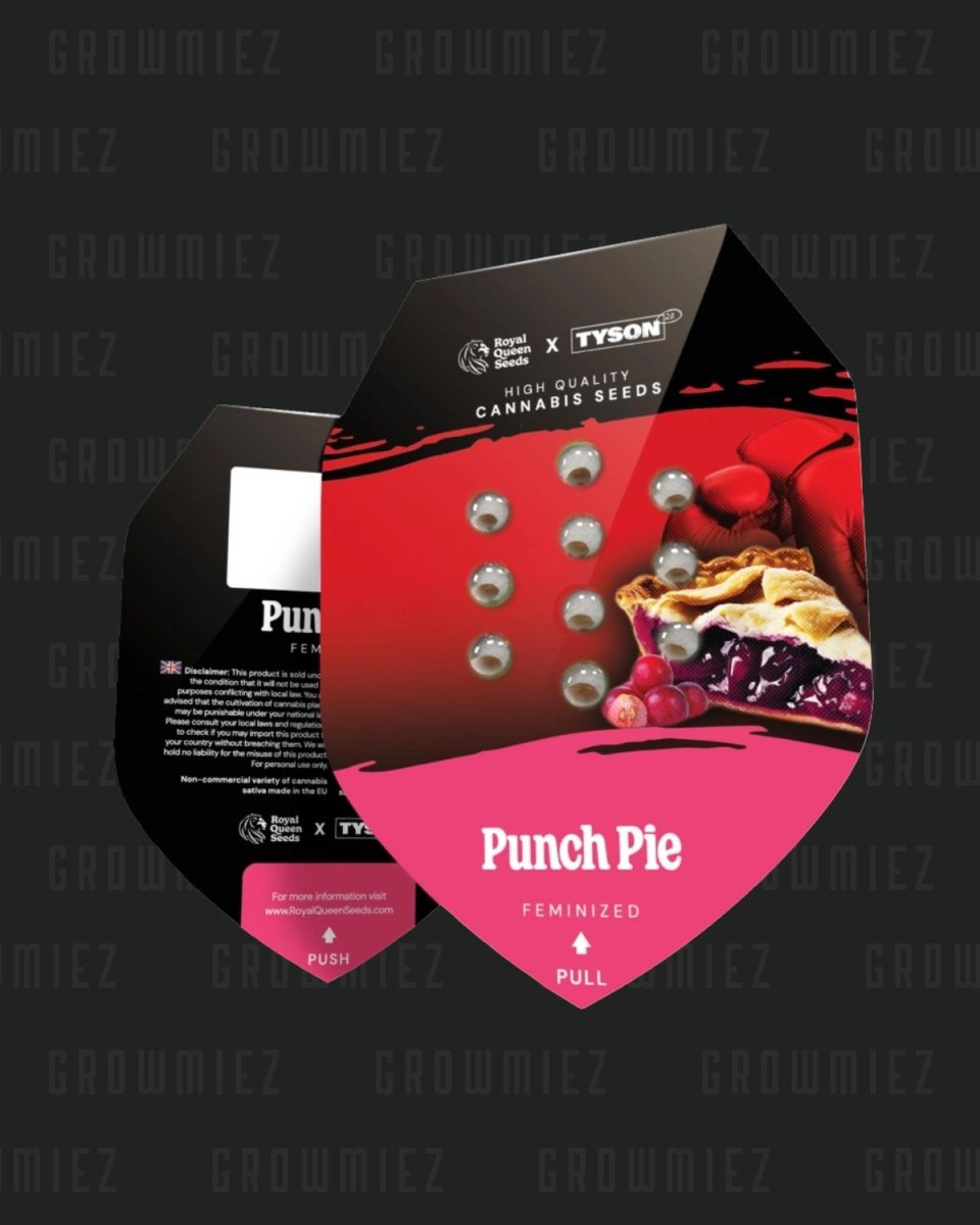 Punch Pie Samen von Royal Queen Seeds und Tyson
