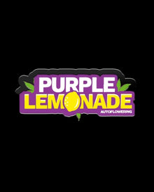 Purple Lemonade Auto