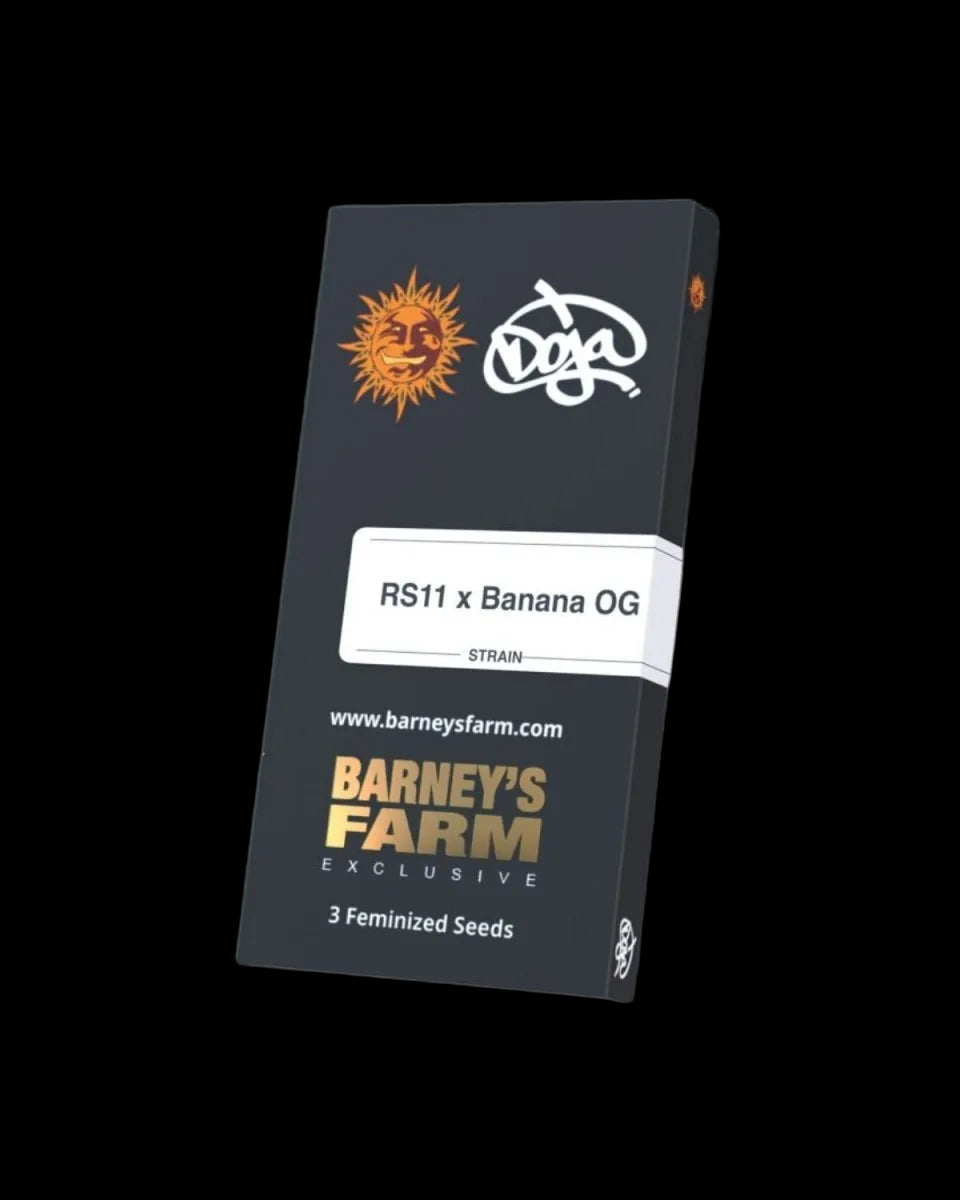 RS11 x Banana OG