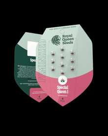Special Queen 1