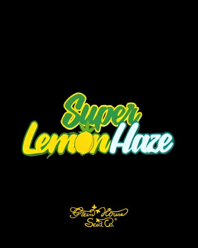 Super Lemon Haze