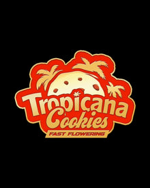 Tropicana Cookies Fast Flowering
