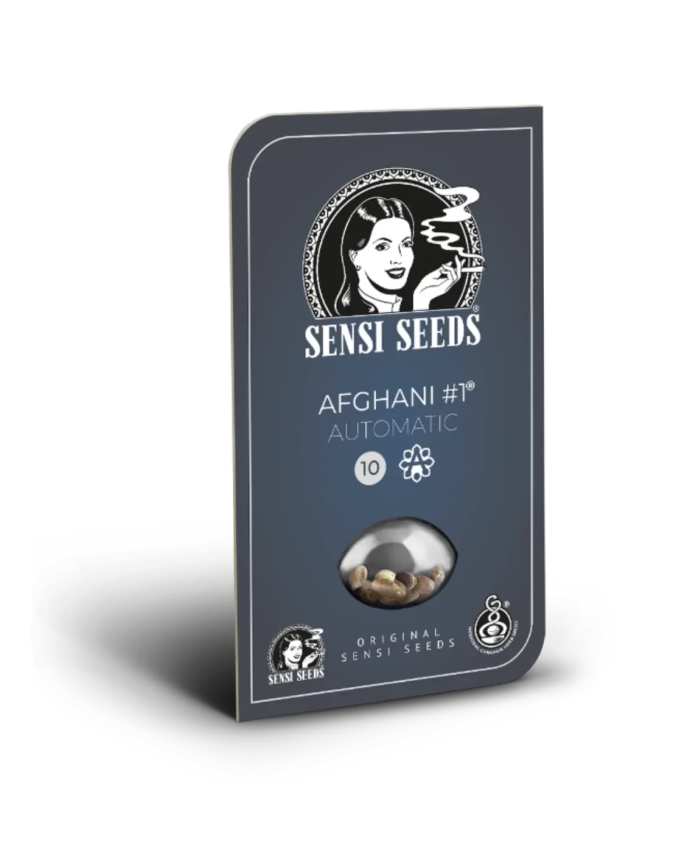 Afghani #1 Automatic Originalverpackung