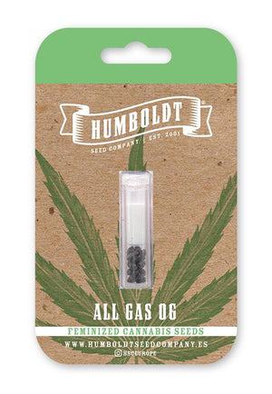 all-gas-og-humboldt-seed-company