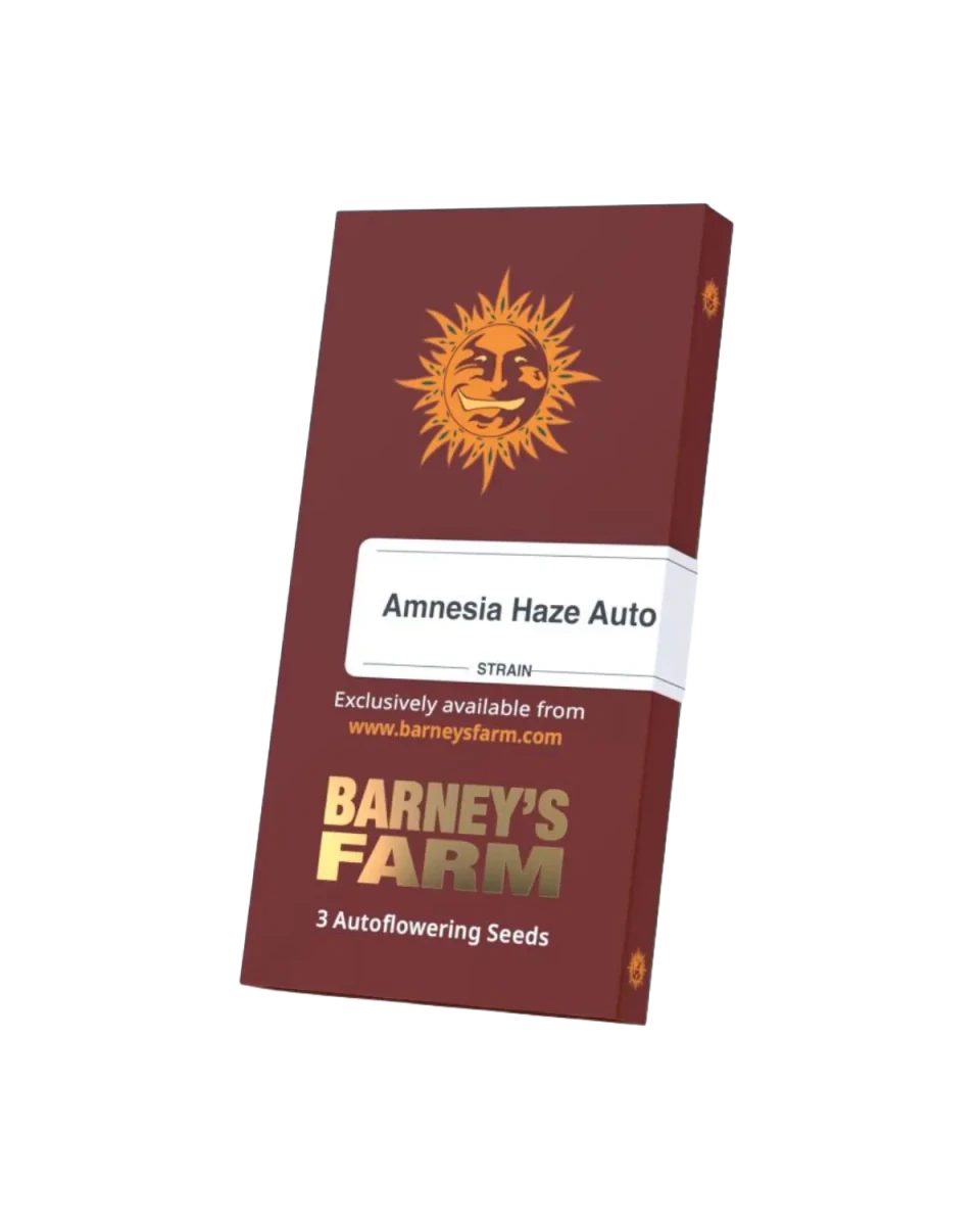 Amnesia Haze Auto Cannabissamen von Barney's Farm – feminisierte Autoflower mit 23 % THC