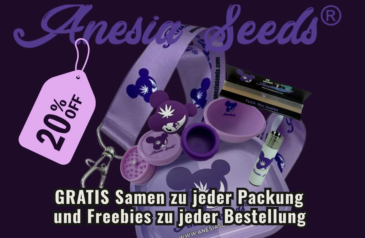 Anesia Seeds Rabattaktion