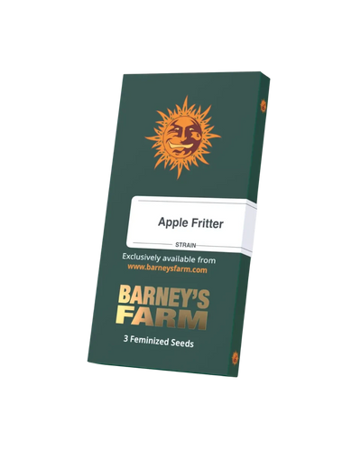 Apple Fritter