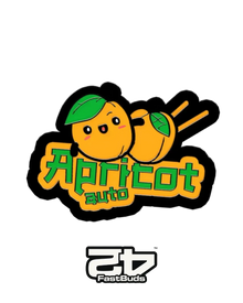 Apricot Auto von Fast Buds