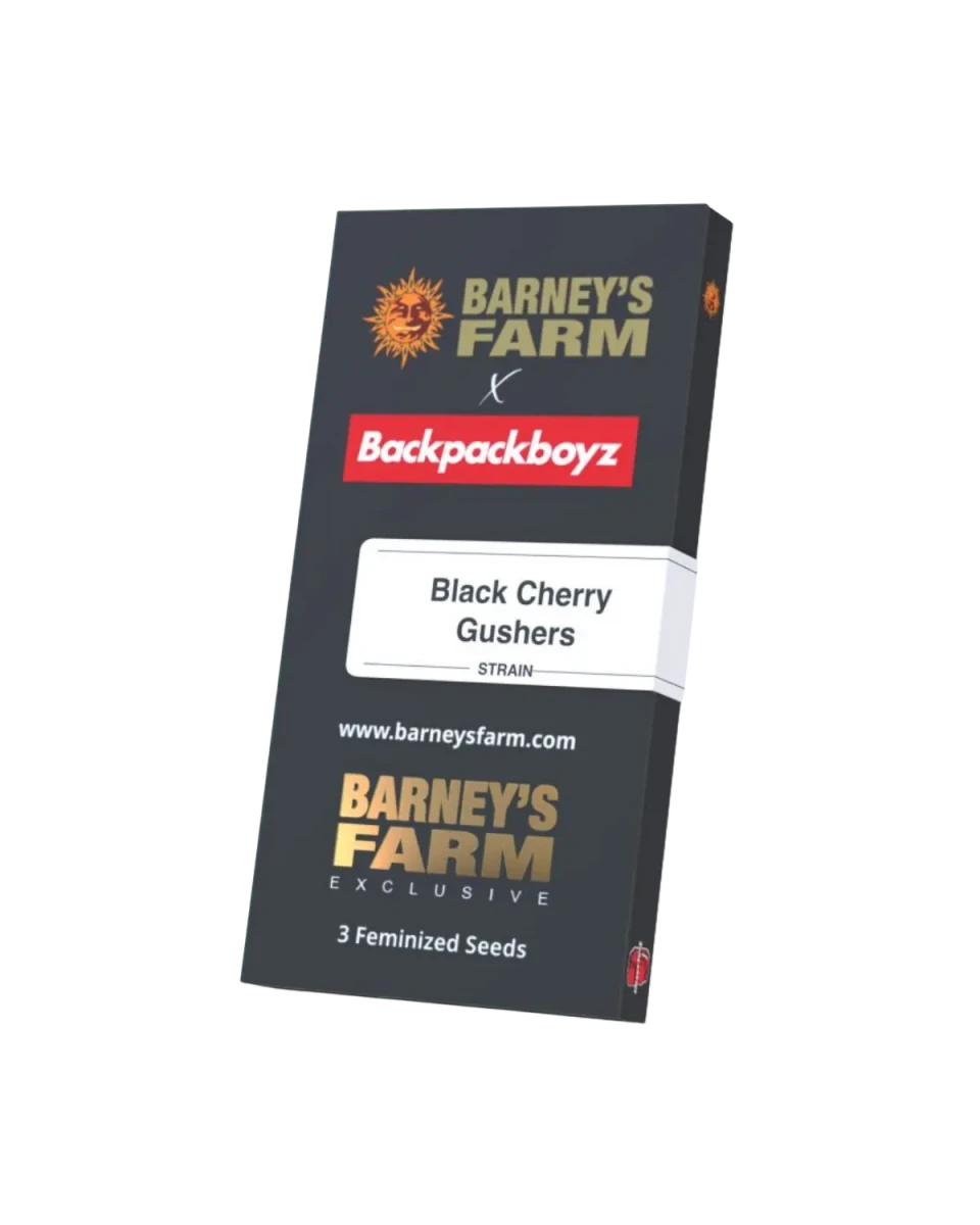 Black Cherry Gushers Originalverpackung