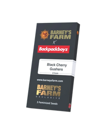 Black Cherry Gushers Originalverpackung
