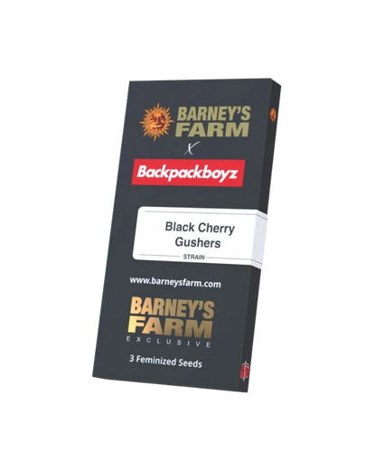 Black Cherry Gushers Originalverpackung
