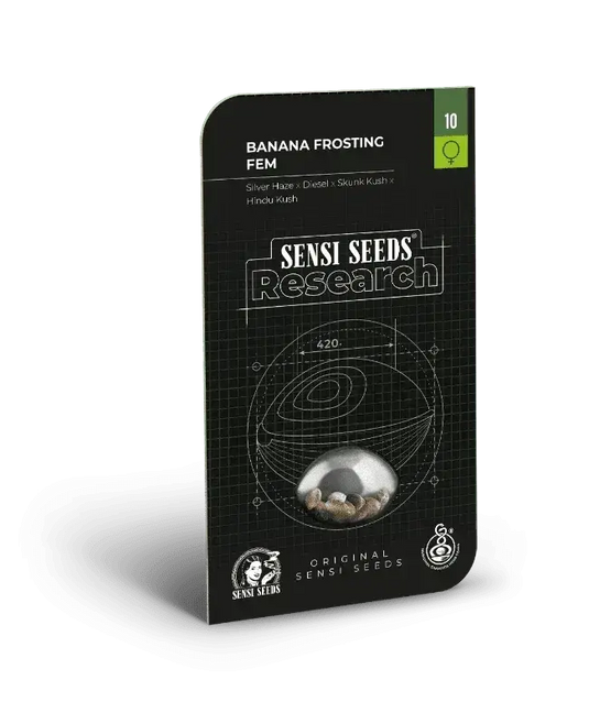 Banana Frosting, Cannabis Samen Packungen von Sensi Seeds mit 3 oder 5 Stück