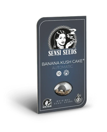 Sensi Seeds Banana Kush Cake Auto