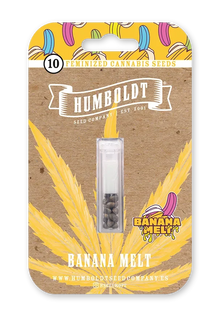 Banana Melt Cannabis Samen Packung von Humboldt Seed Company, feminisierte Cannabis Samen