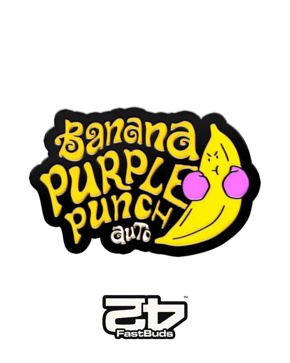 Banana Purple Punch Auto von Fast Buds