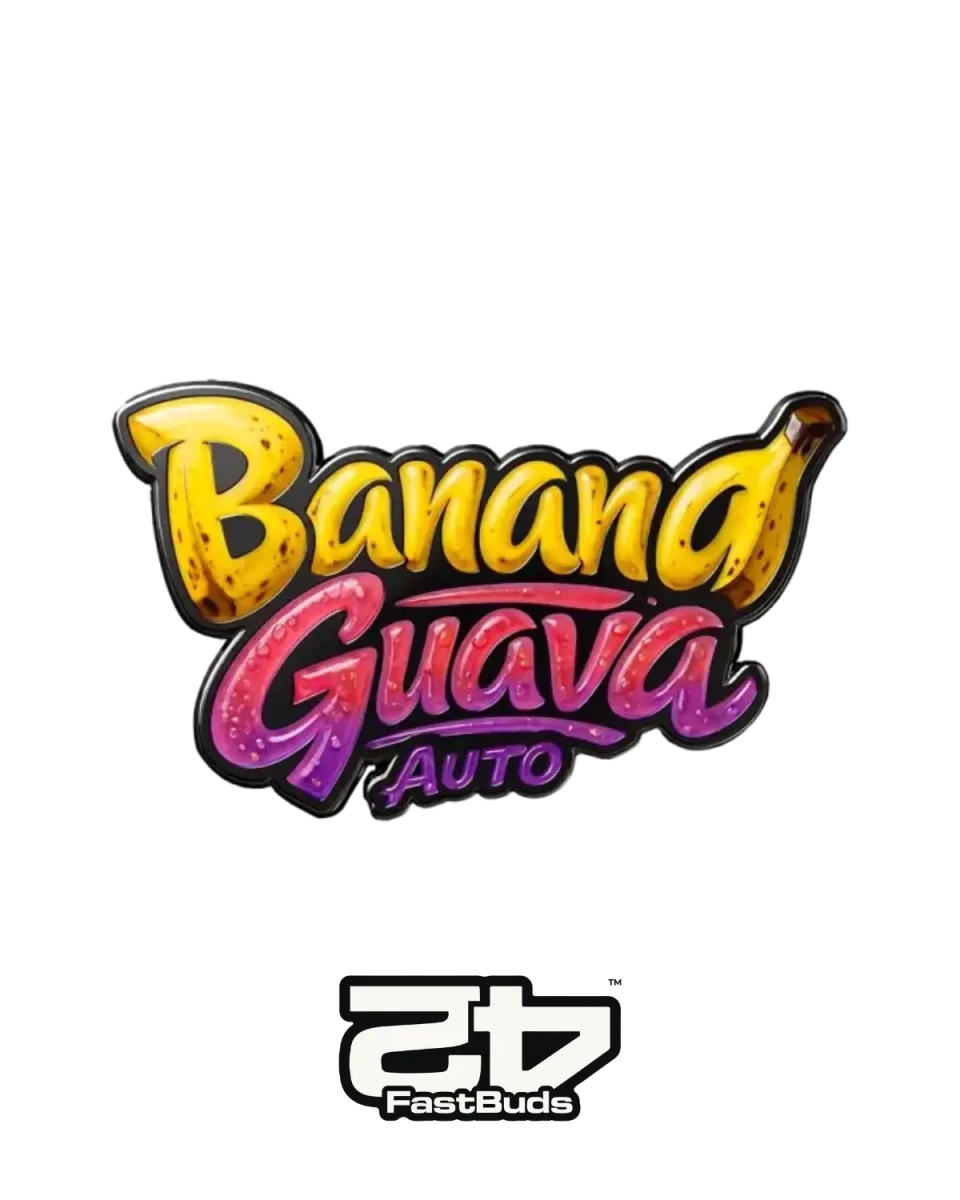 Banana Guava Auto