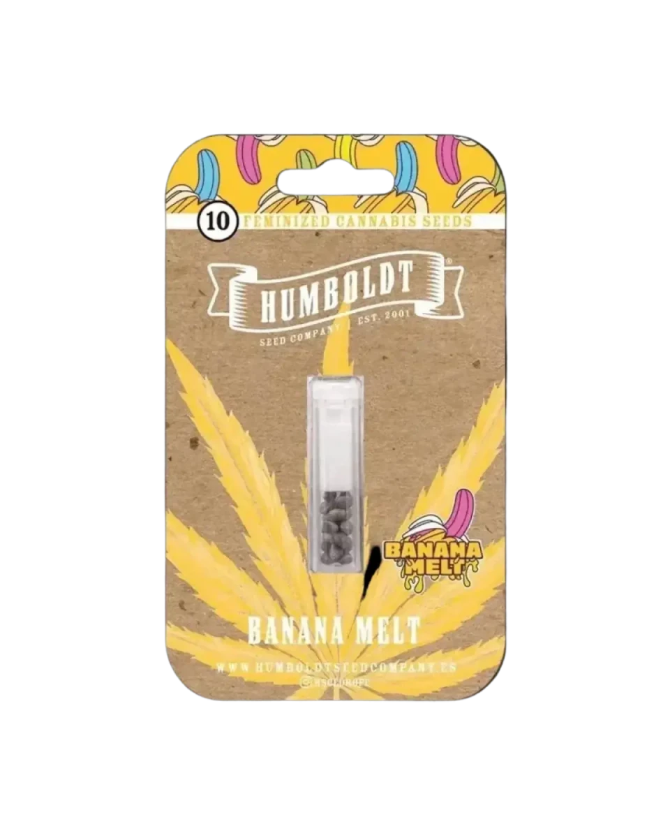 Banana Melt Humboldt Seed Company