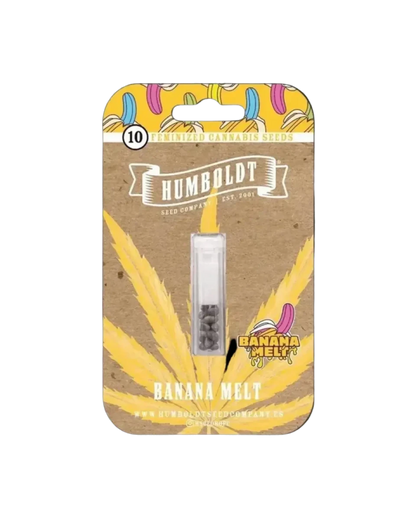 Banana Melt Humboldt Seed Company