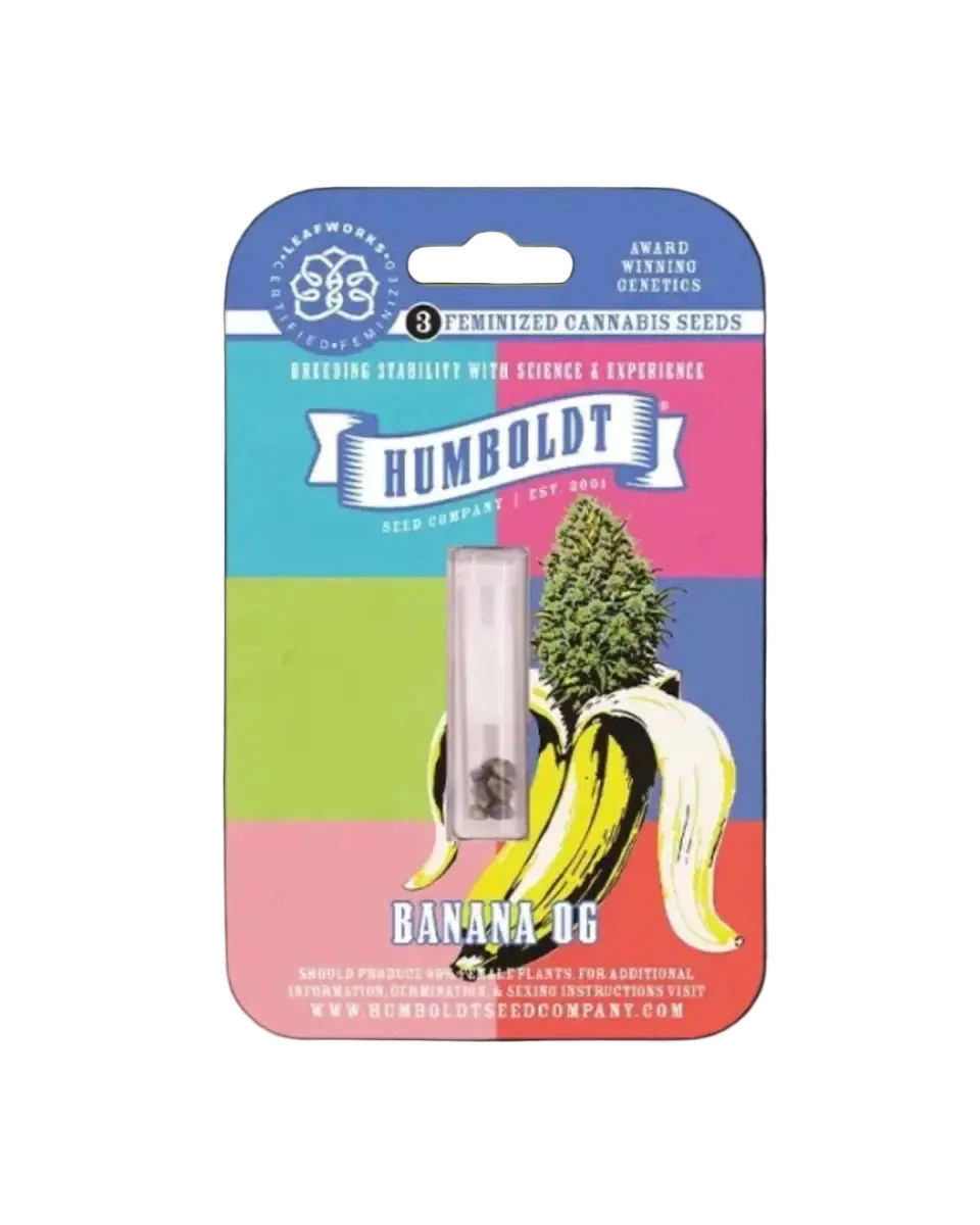 Banana OG Samen Originalverpackung