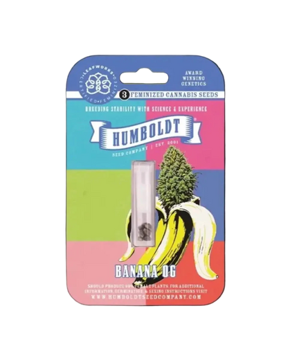 Banana OG Samen Originalverpackung