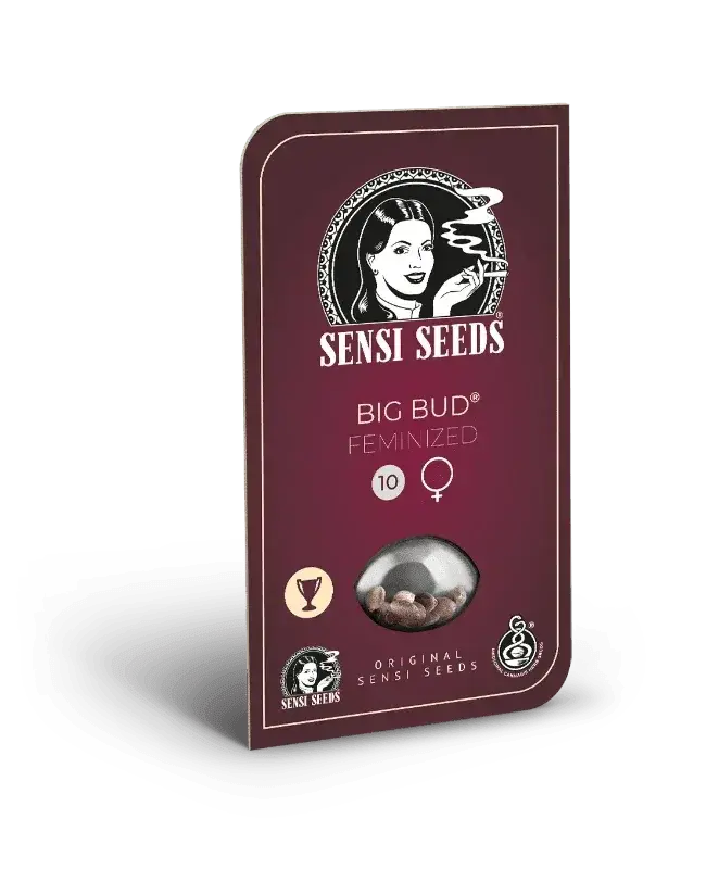 Big Bud feminisierte Cannabis Samen von Sensi Seeds