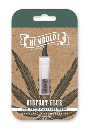 humboldt-seed-company-bigfoot-glue