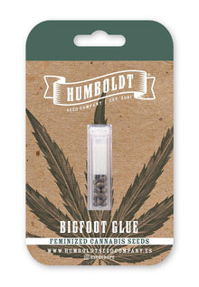 Bigfoot Glue Cannabis Samen von  Humboldt Seed Company