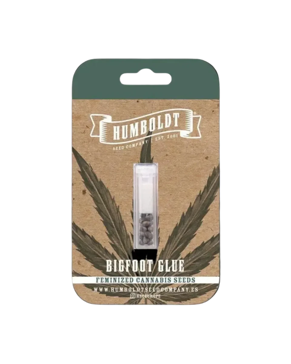 Bigfoot Glue Humboldt Seed Company