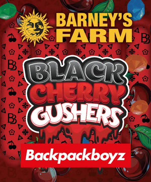 barneys-black-cherry-gushers