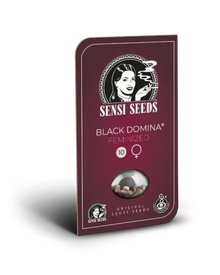 Packung Black Domina Samen von Sensi Seeds
