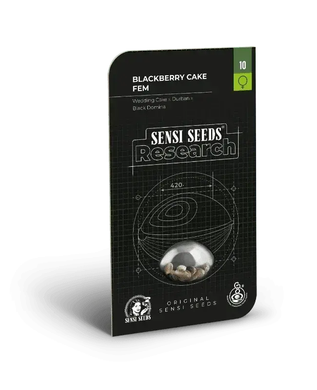 Sensi Seeds Blackberry Cake