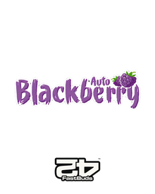 Blackberry Auto von Fast Buds – autoflowering, indicadominante Cannabissamen mit beerig-süßem Aroma.