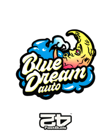Blue Dream Auto von Fast Buds – autoflowering, sativabetonte Cannabissamen mit Blaubeer-Note.