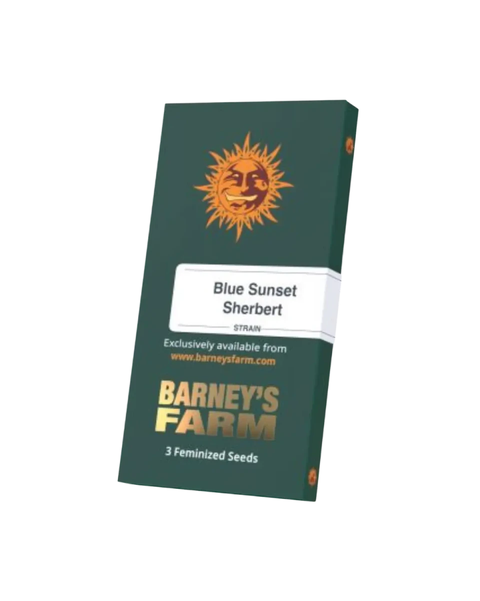 Blue Sunset Sherbet Cannabis Samen Packung