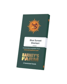Blue Sunset Sherbet Cannabis Samen Packung