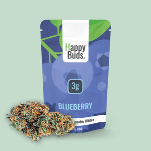 blueberry-cbd-blüten-kaufen