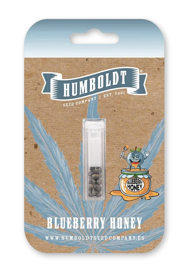 Blueberry Honey Cannabis Samen von Humboldt Seed Company