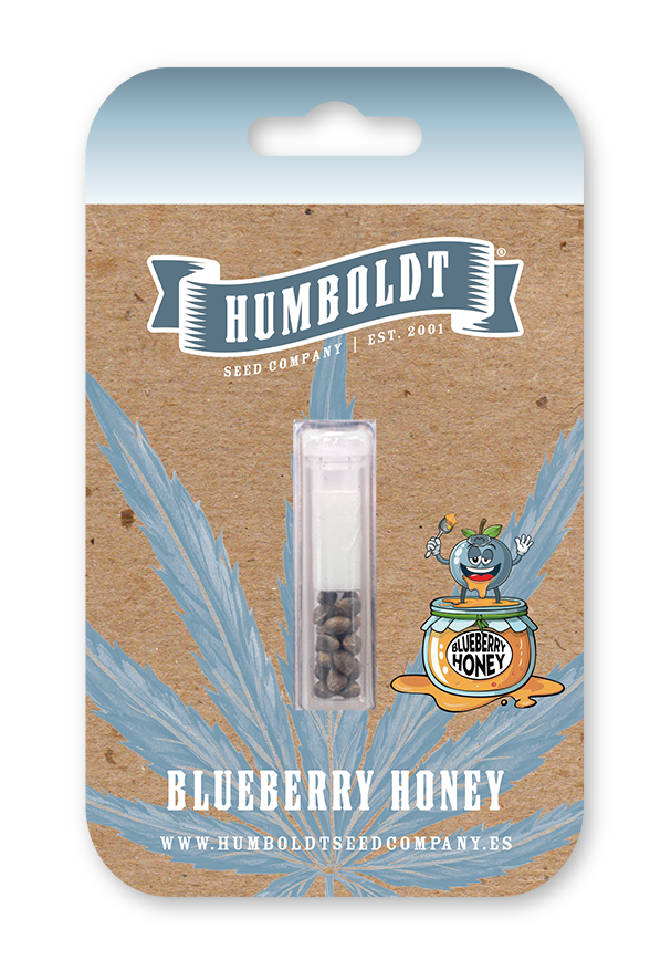Blueberry Honey Cannabis Samen von Humboldt Seed Company