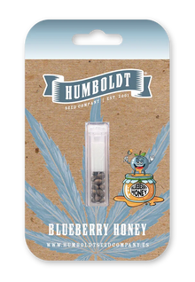 Blueberry Honey Cannabis Samen von Humboldt Seed Company