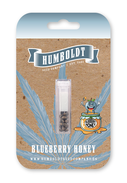 Blueberry Honey Cannabis Samen von Humboldt Seed Company