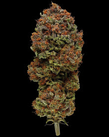 Blueberry Muffin - Humboldt Seed Company