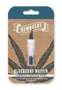 Humboldt Seed Company Blueberry Muffin, feminisierte Cannabis Samen