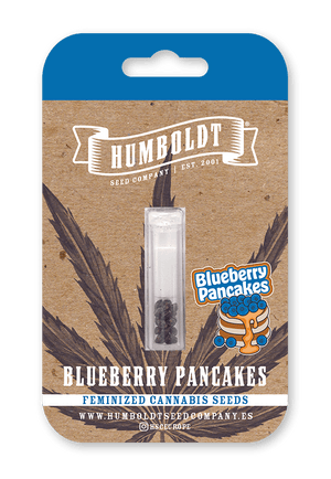 humboldt-seed-company-blueberry-pancakes