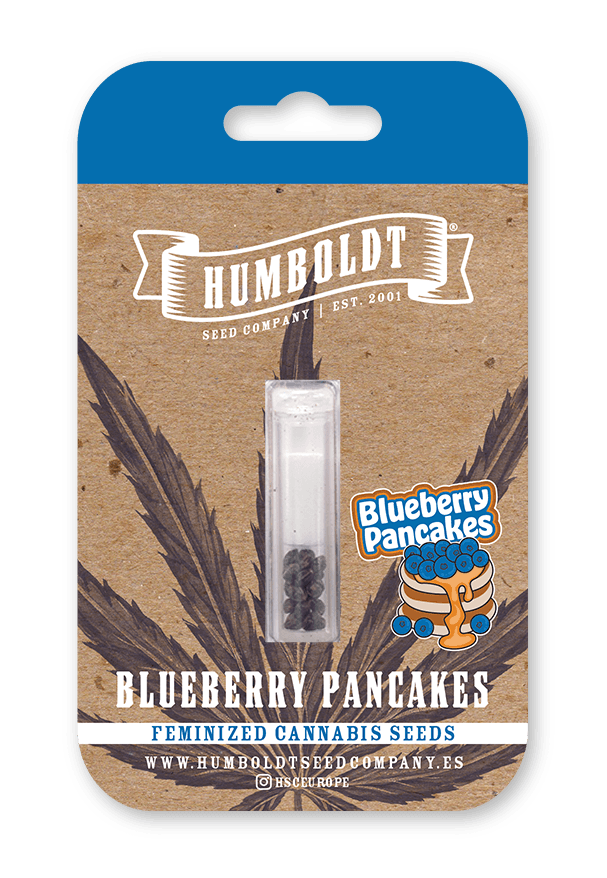 humboldt-seed-company-blueberry-pancakes