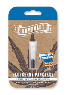 Blueberry Pancakes Cannabis Samen von Humboldt Seed Company