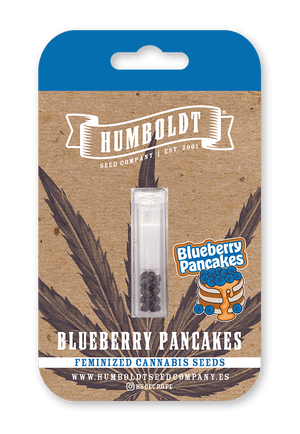 humboldt-seed-company-blueberry-pancakes