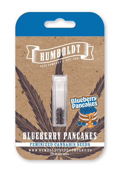 humboldt-seed-company-blueberry-pancakes